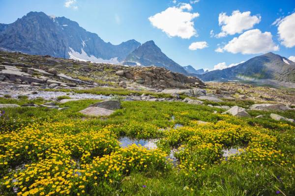 Фото к статье: Самые красивые места Алтая Самые красивые места Алтая