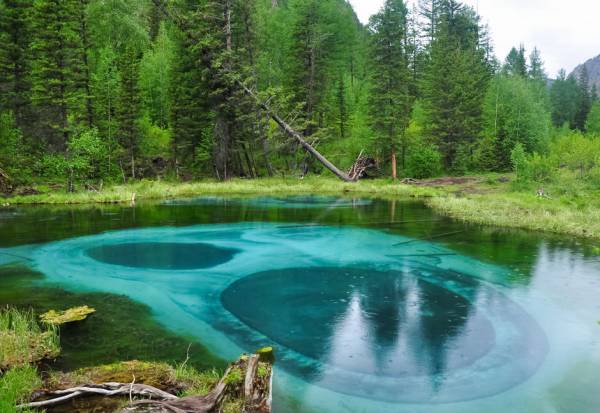 Фото к статье: Самые красивые места Алтая Самые красивые места Алтая